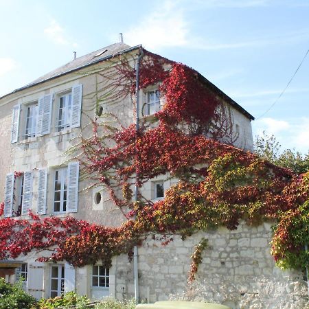 Gite Au Calme Avec Jardin Et Wifi A La Roche-Posay - Fr-1-541-52 Villa Exterior foto